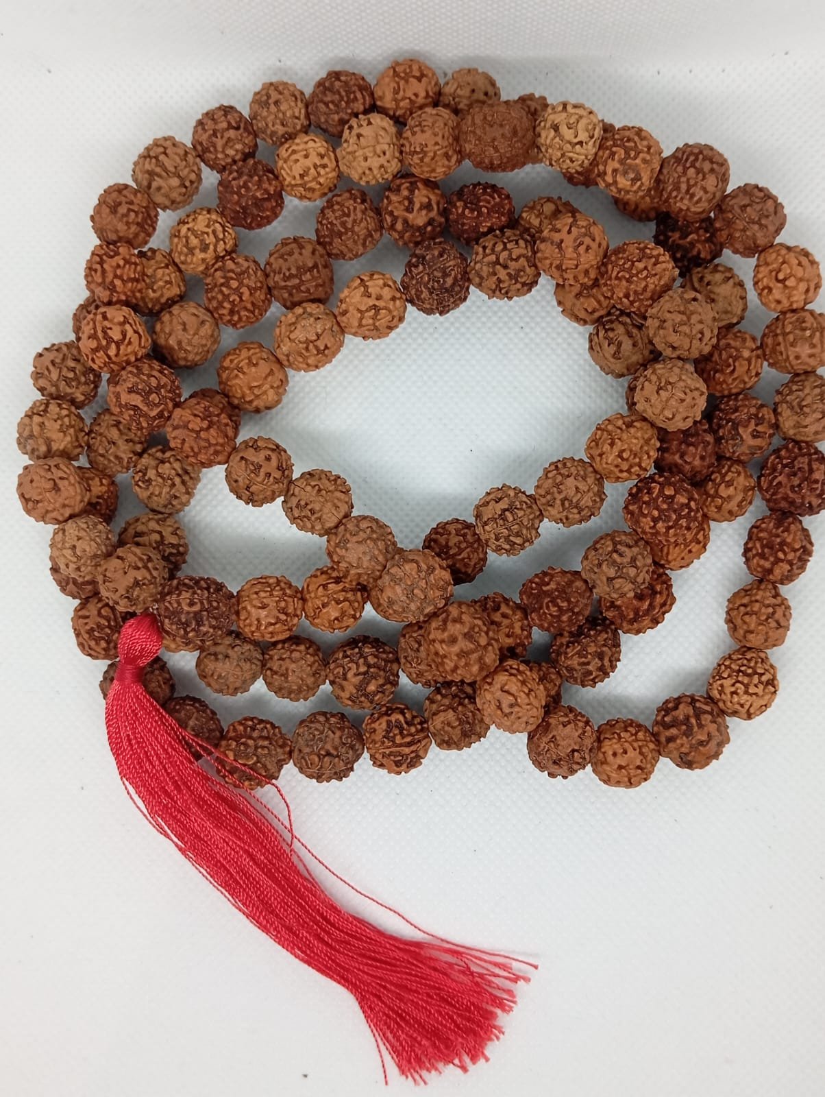 201 Japamala Rudraksha 12mm - Image 1